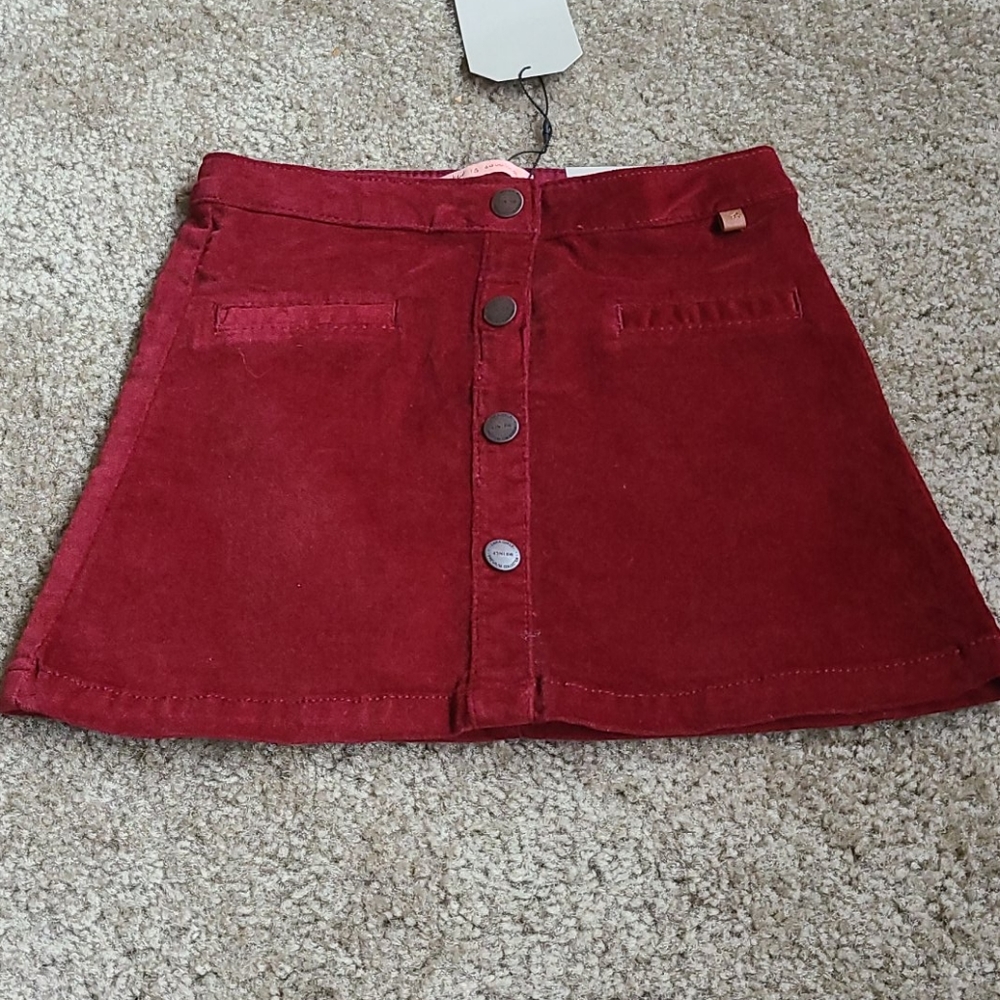 Zara button down skirt